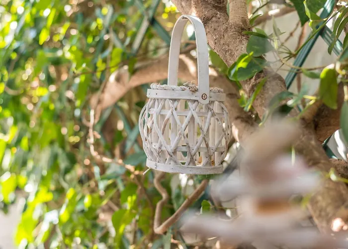 Medousa Lejlighed Adamantas